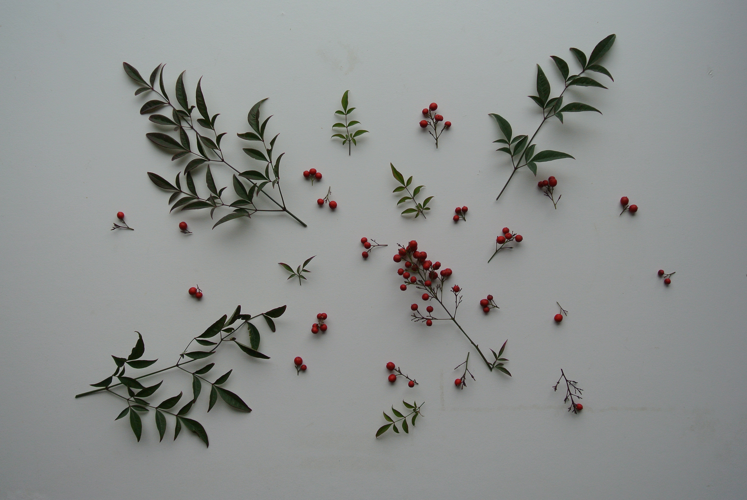 Talianske sviatočné menu – inšpirujte sa receptmi z Toskánska