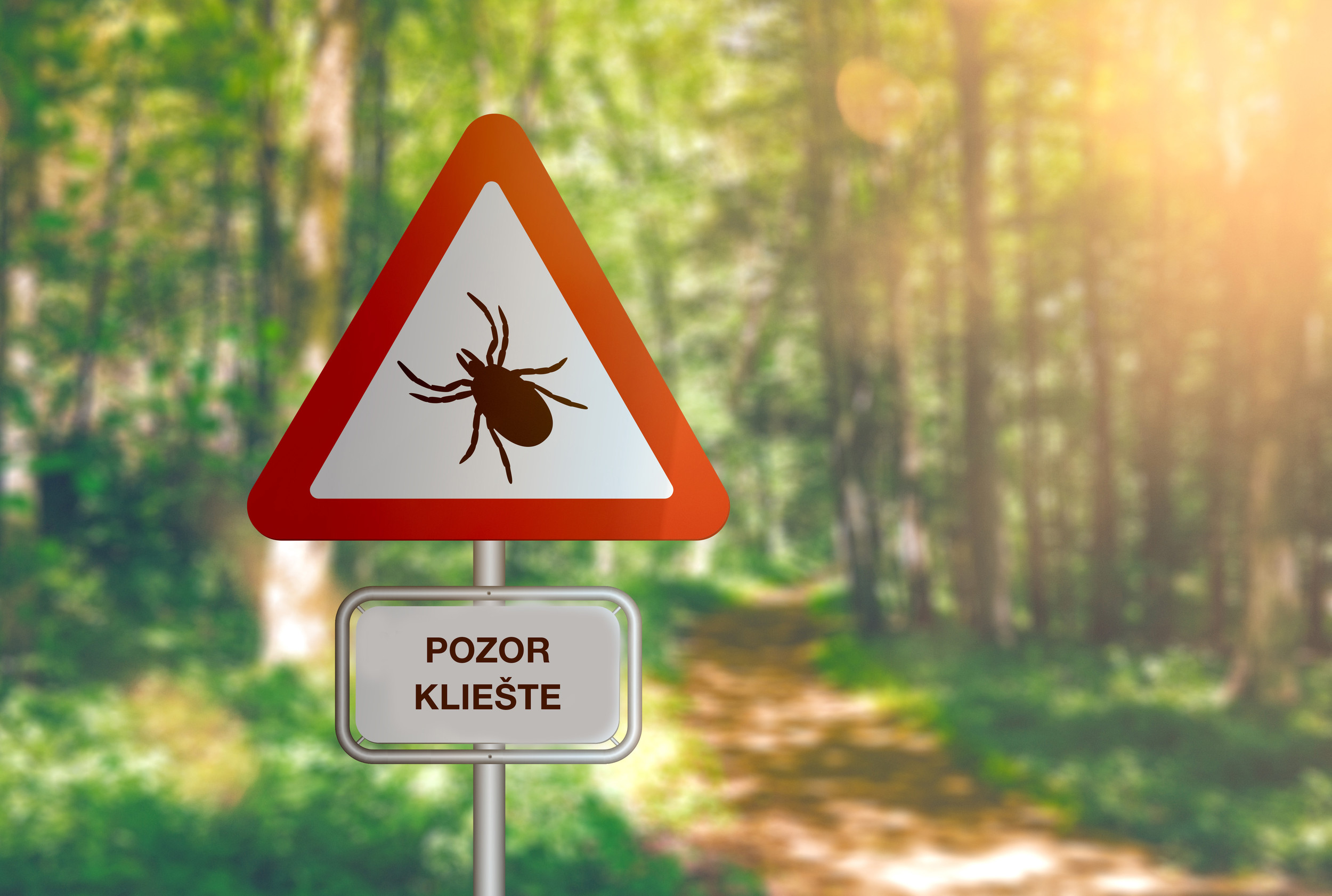 Všetko podstatné o kliešťovi – radí virologička