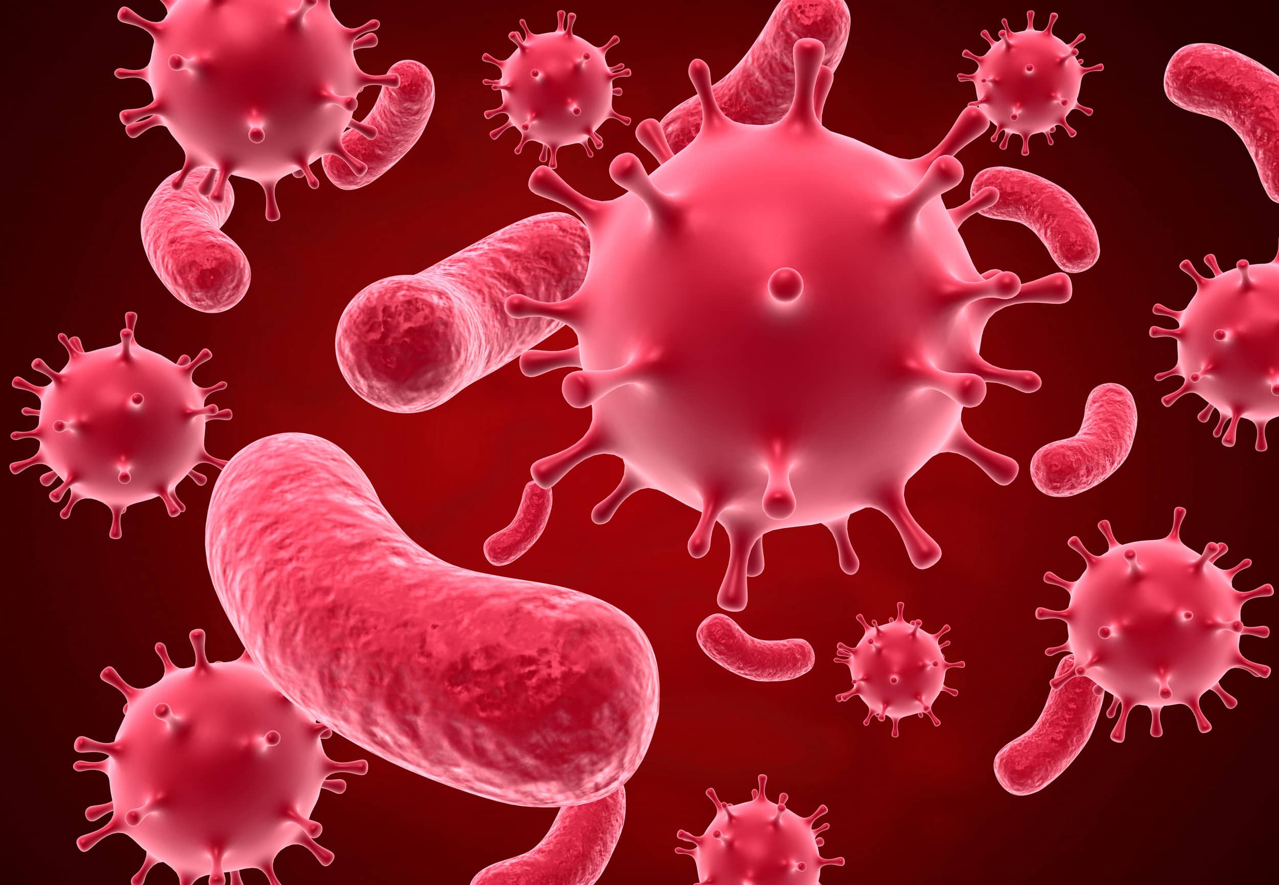 Všetko, čo potrebujete vedieť o vírusoch